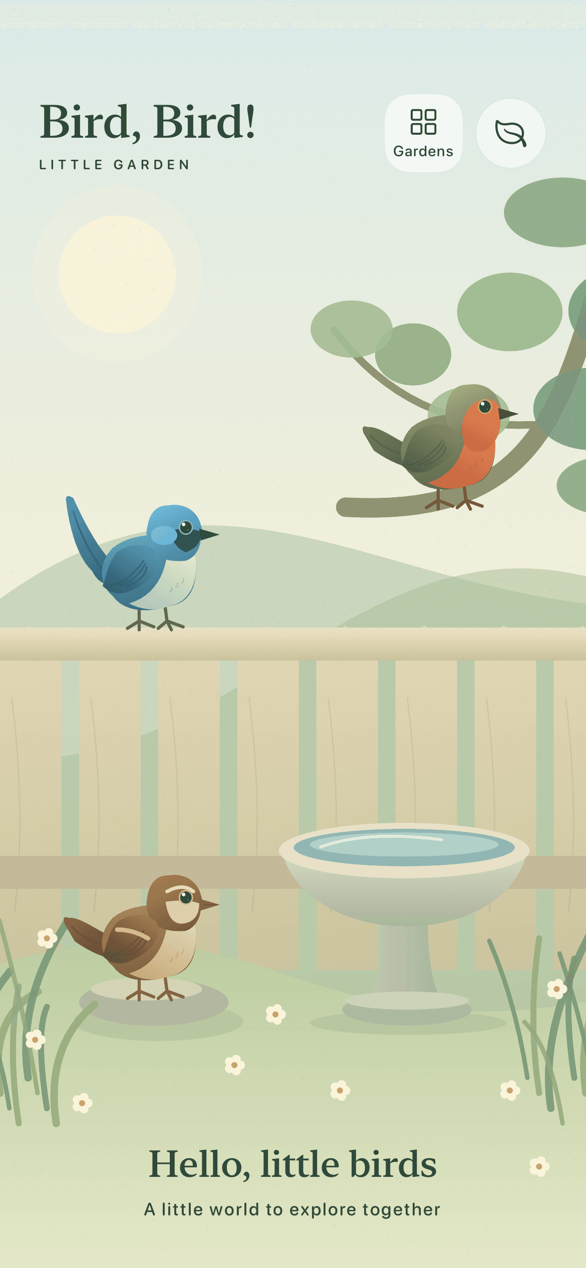Bird, Bird! Little garden, with illustrated birds, a wooden fence and a birdbath